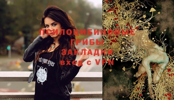 ГАЛЛЮЦИНОГЕННЫЕ ГРИБЫ Киренск