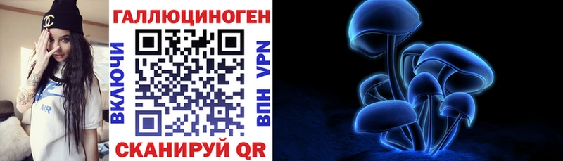 Купить Заозёрный Псилоцибиновые грибы мухоморы